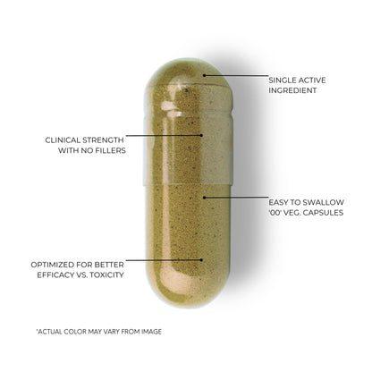 Folius Labs premium clean label brain supplement bottle placed on a minimalist background