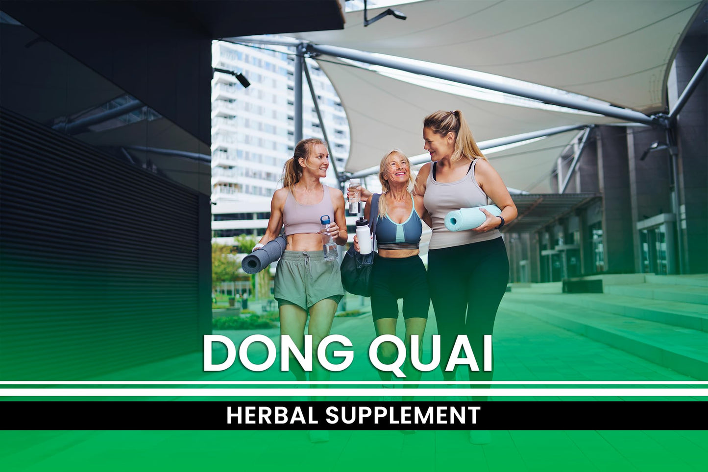 Lab verified Pure Original Ingredients Dong Quai herbal supplement product packaging.