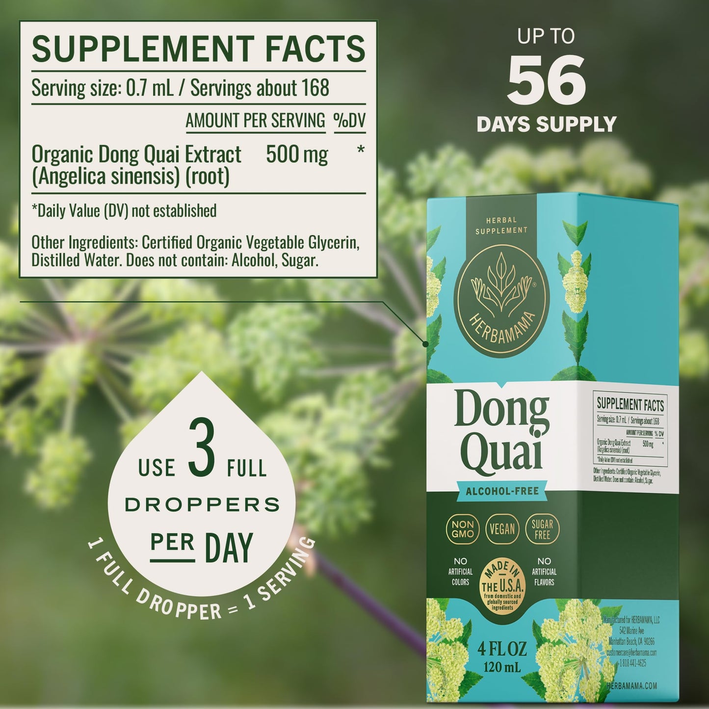 Back label of HERBAMAMA Dong Quai tincture showing clean three ingredient list