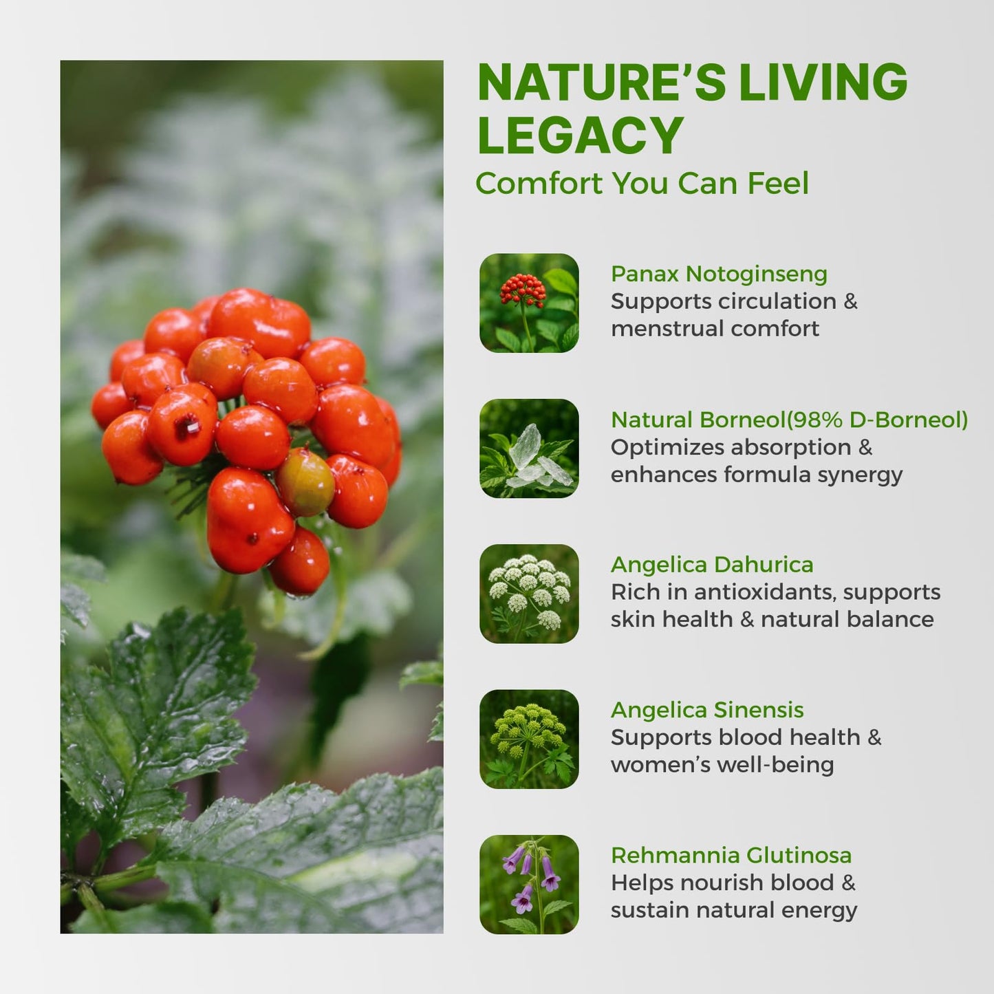 Sixty vegan capsules description on LifeBay Cycle Ease bottle side