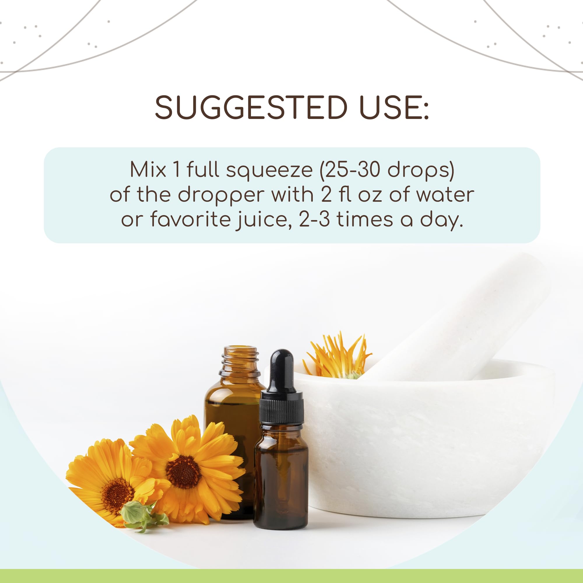 HerbEra Brahmi liquid drops bottle showcasing the concentrated organic supplement info