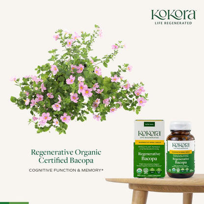 Back label of Kokora Bacopa monnieri supplement showing the standardized 30 mg bacosides dosage.