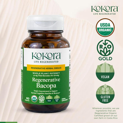 Top down shot of the green cap and safety seal on the imported Kokora memory supplement.