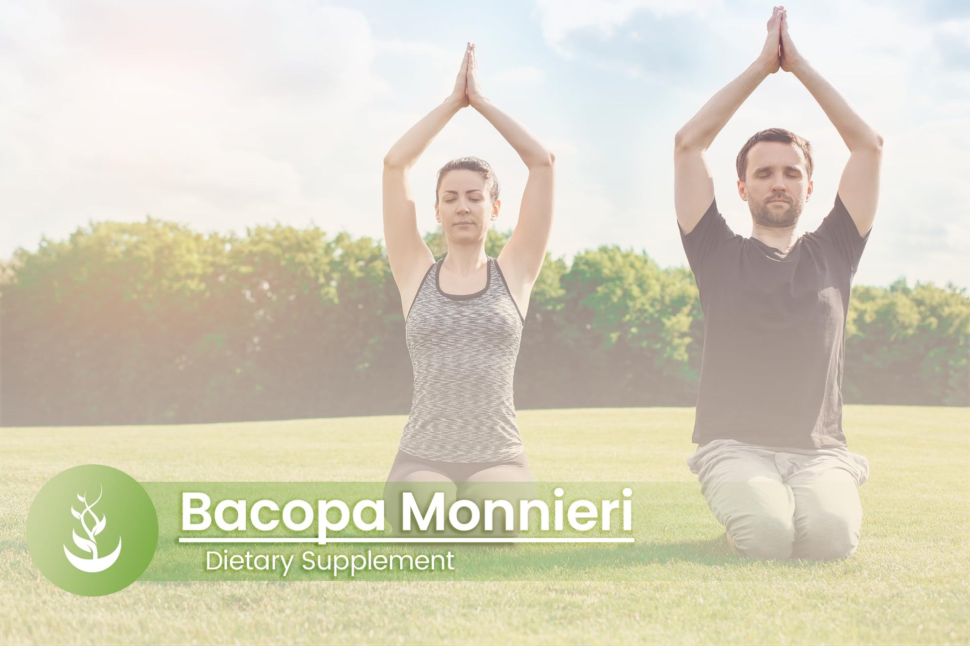 Pure Original Ingredients Bacopa Monnieri capsule bottle demonstrating authentic dietary supplement packaging for brain health