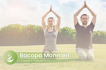 Pure Original Ingredients Bacopa Monnieri capsule bottle demonstrating authentic dietary supplement packaging for brain health