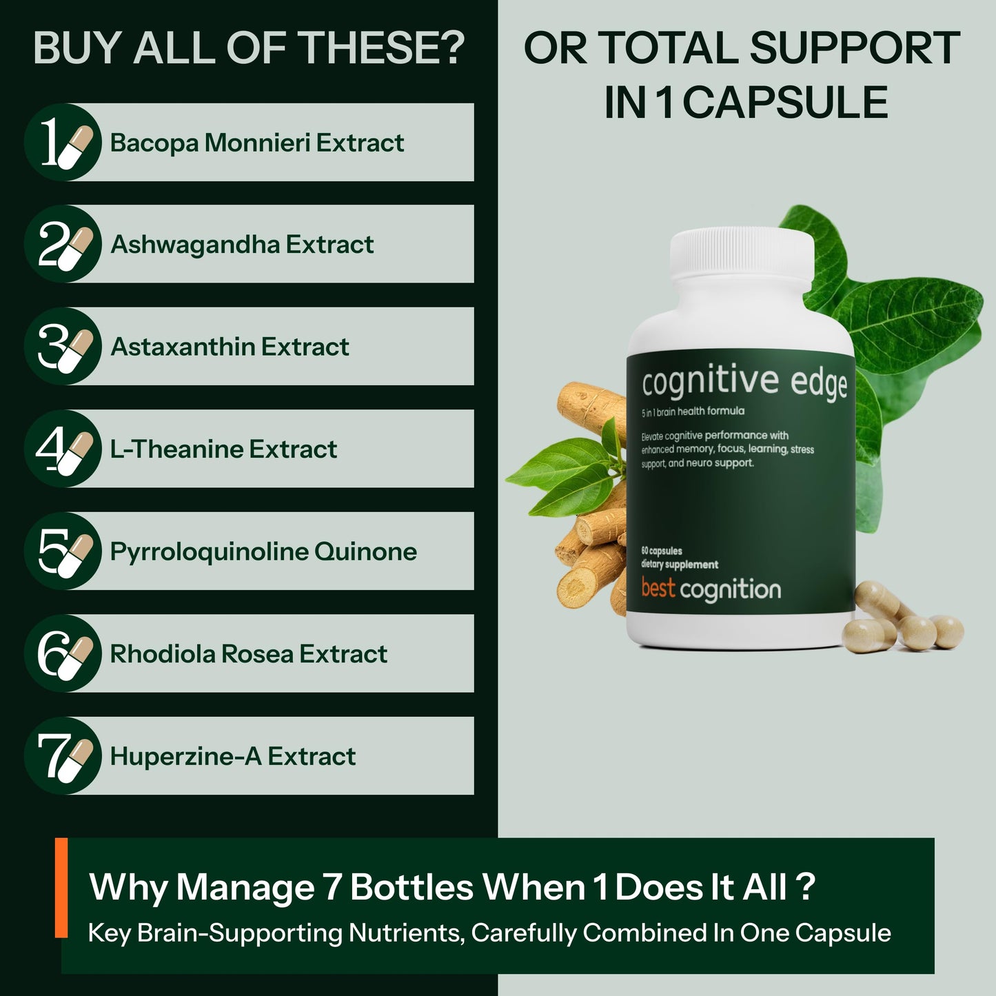 Authentic USA-imported Best Cognition supplement bottle showcasing the clean, lab-tested brain health formula layout.