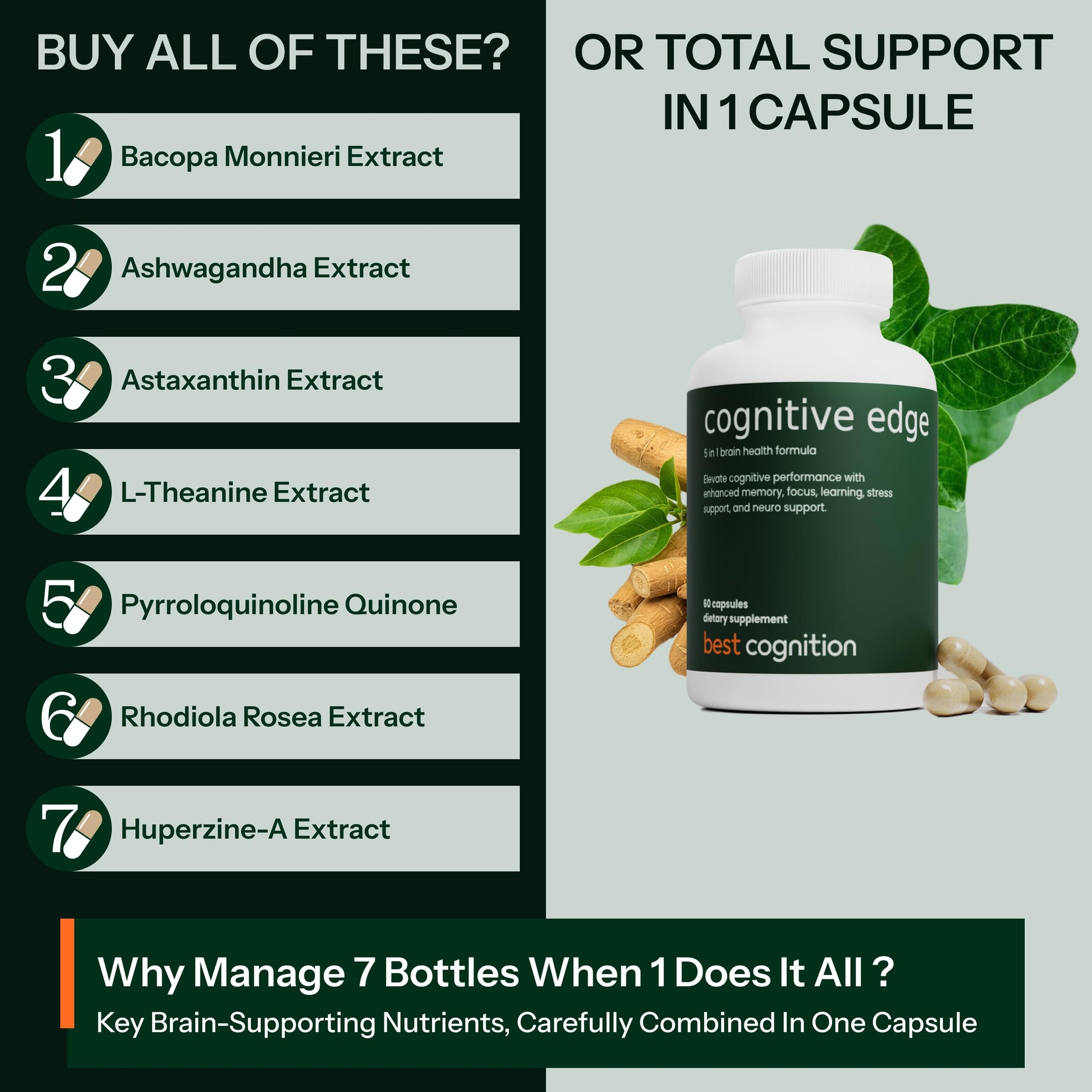 Authentic USA-imported Best Cognition supplement bottle showcasing the clean, lab-tested brain health formula layout.
