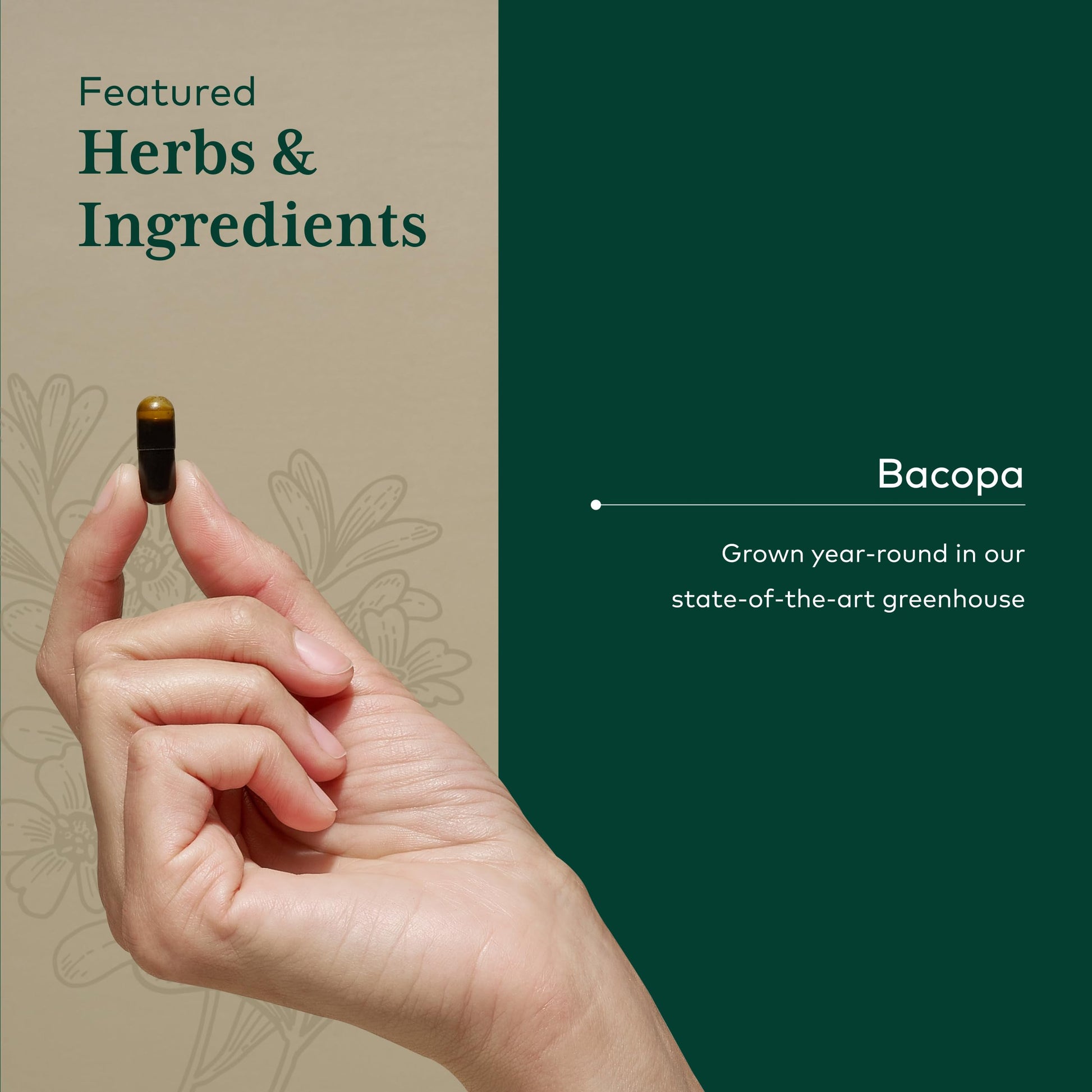 Authentic Gaia Herbs PRO Bacopa nootropic supplement bottle angled to display vegan capsule details