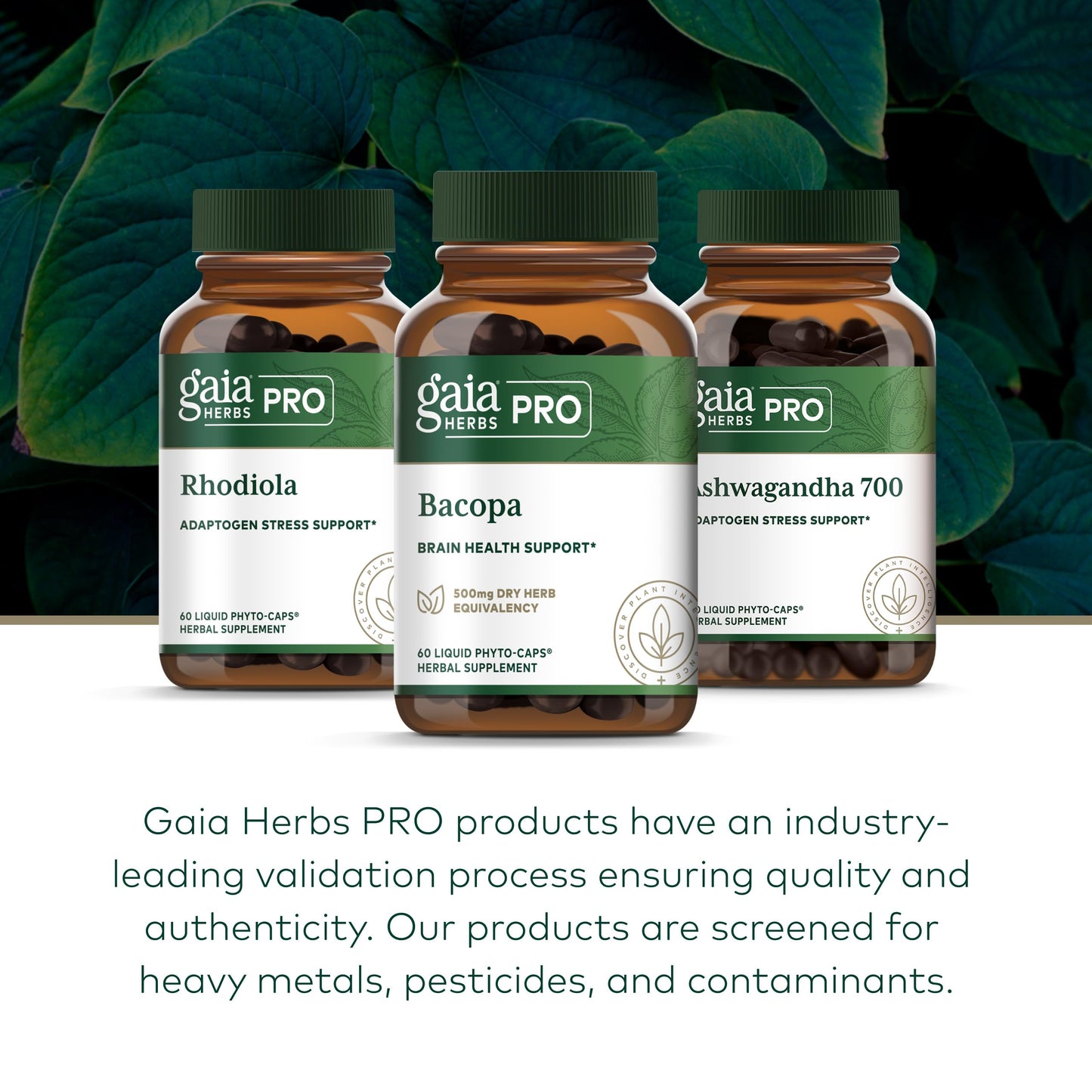 Gaia Herbs PRO Bacopa brain and cognitive support bottle showcasing the 60 vegetarian liquid caps count