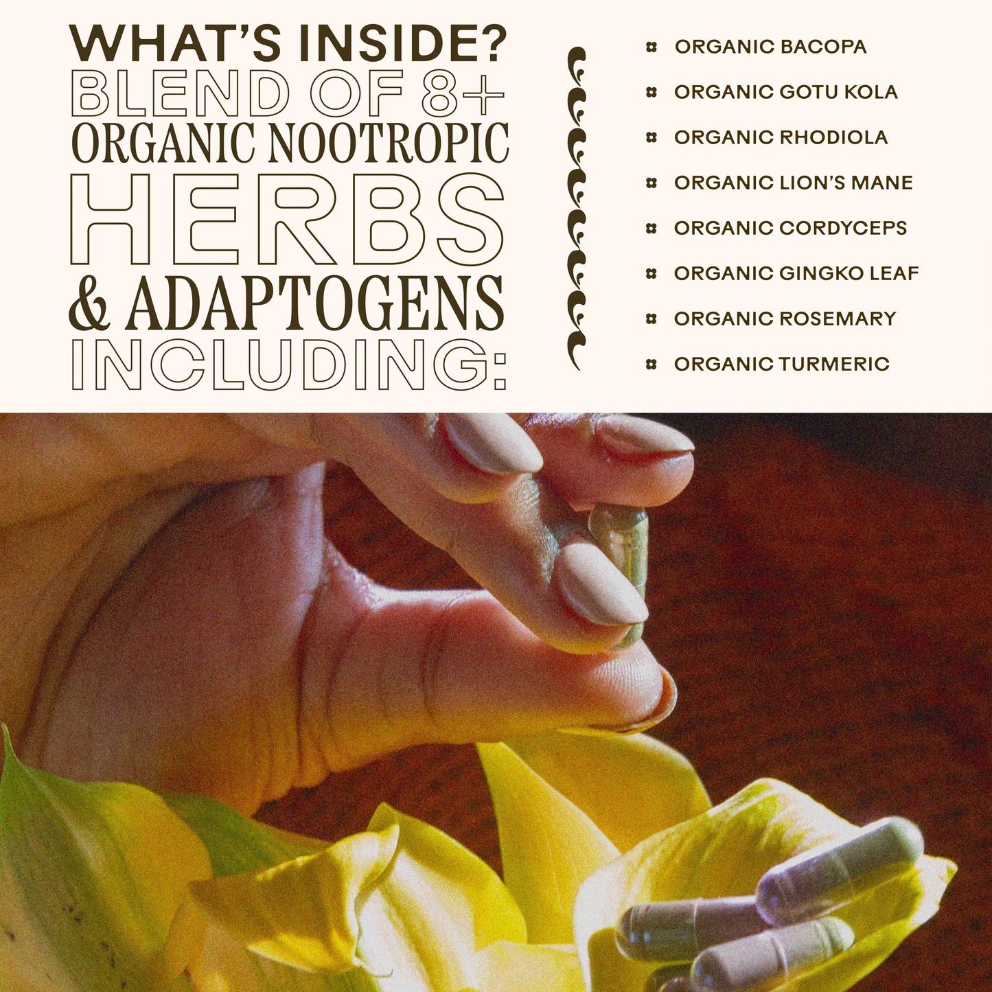 Sixty vegan capsules displayed next to the amber glass Brain Bloom packaging