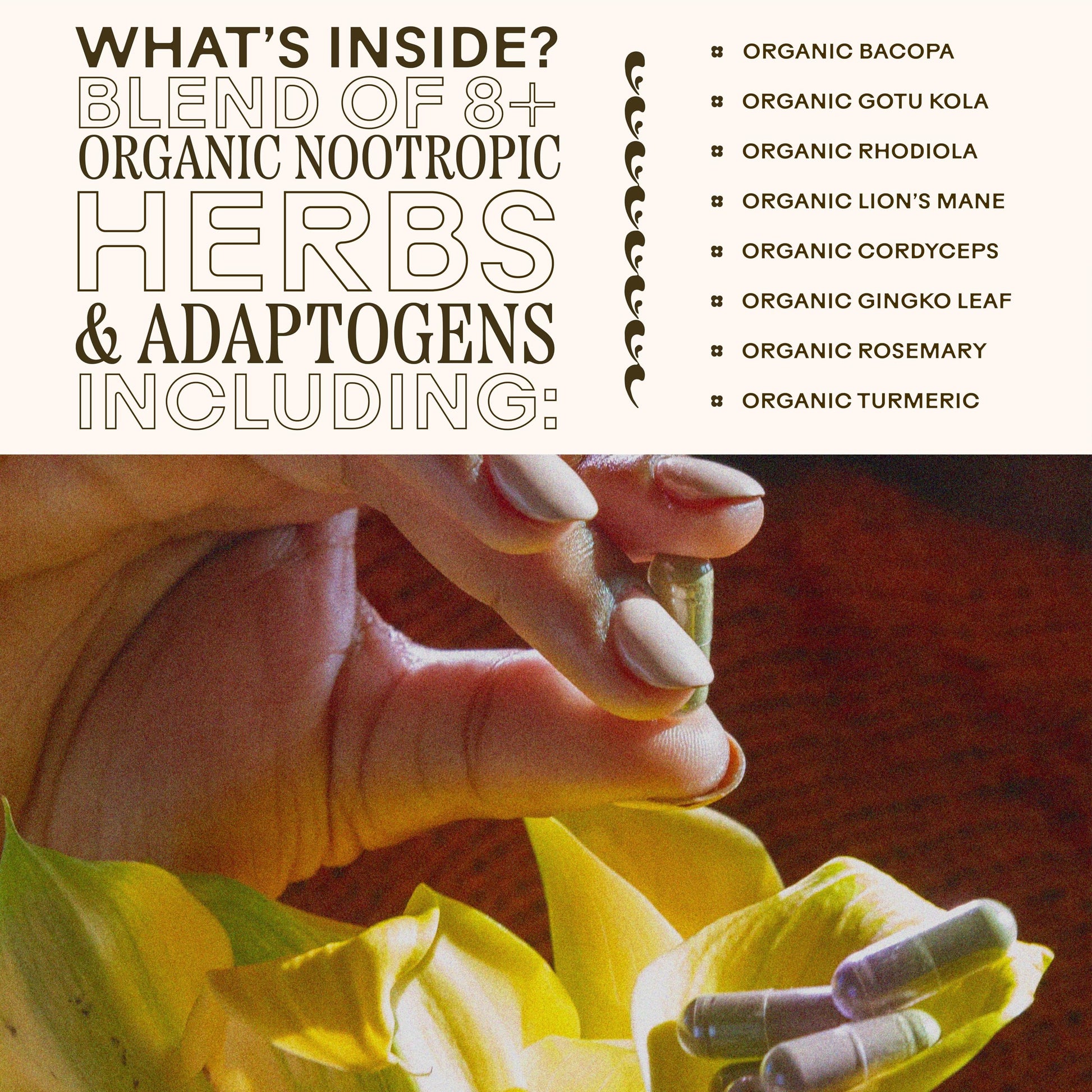 Sixty vegan capsules displayed next to the amber glass Brain Bloom packaging