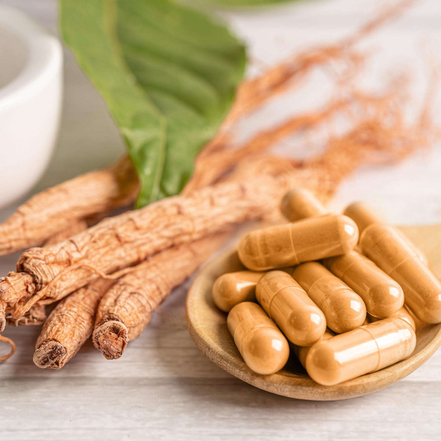 Angelica sinensis root extract capsules zero fillers formula by Earthborn Elements for female health