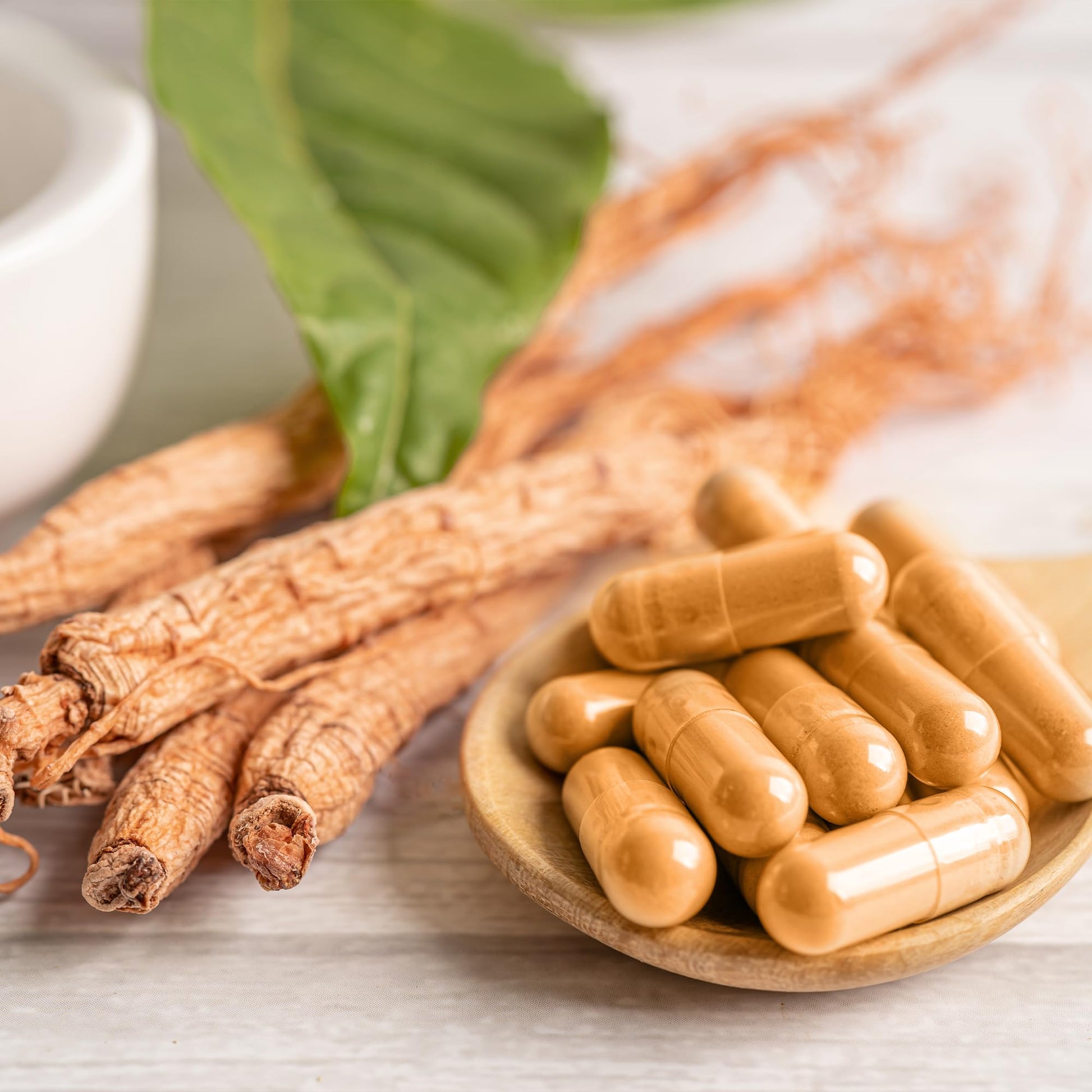 Angelica sinensis root extract capsules zero fillers formula by Earthborn Elements for female health