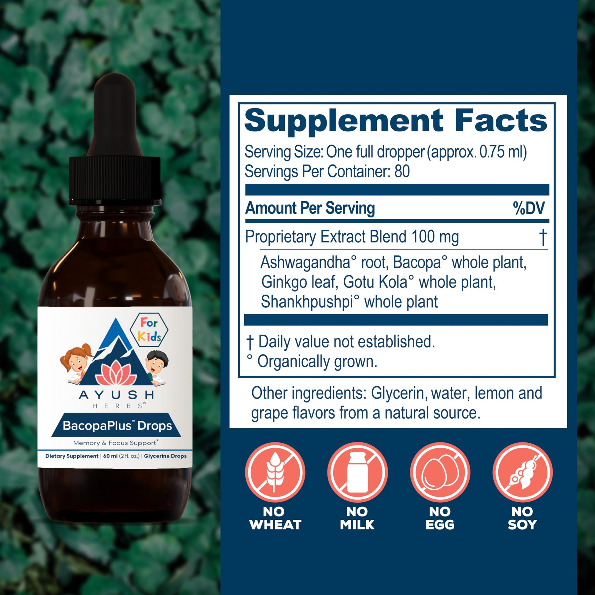 Liquid dropper mechanism of the Ayurvedic memory boost tincture for school-age children.