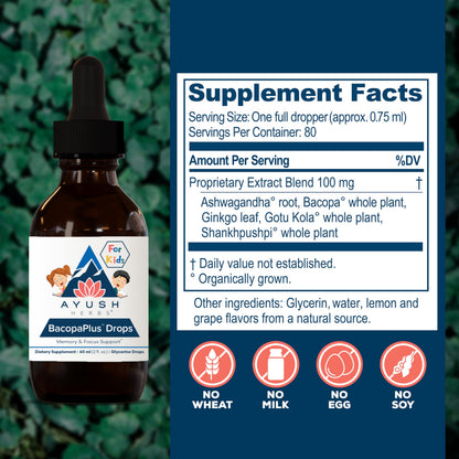 Liquid dropper mechanism of the Ayurvedic memory boost tincture for school-age children.