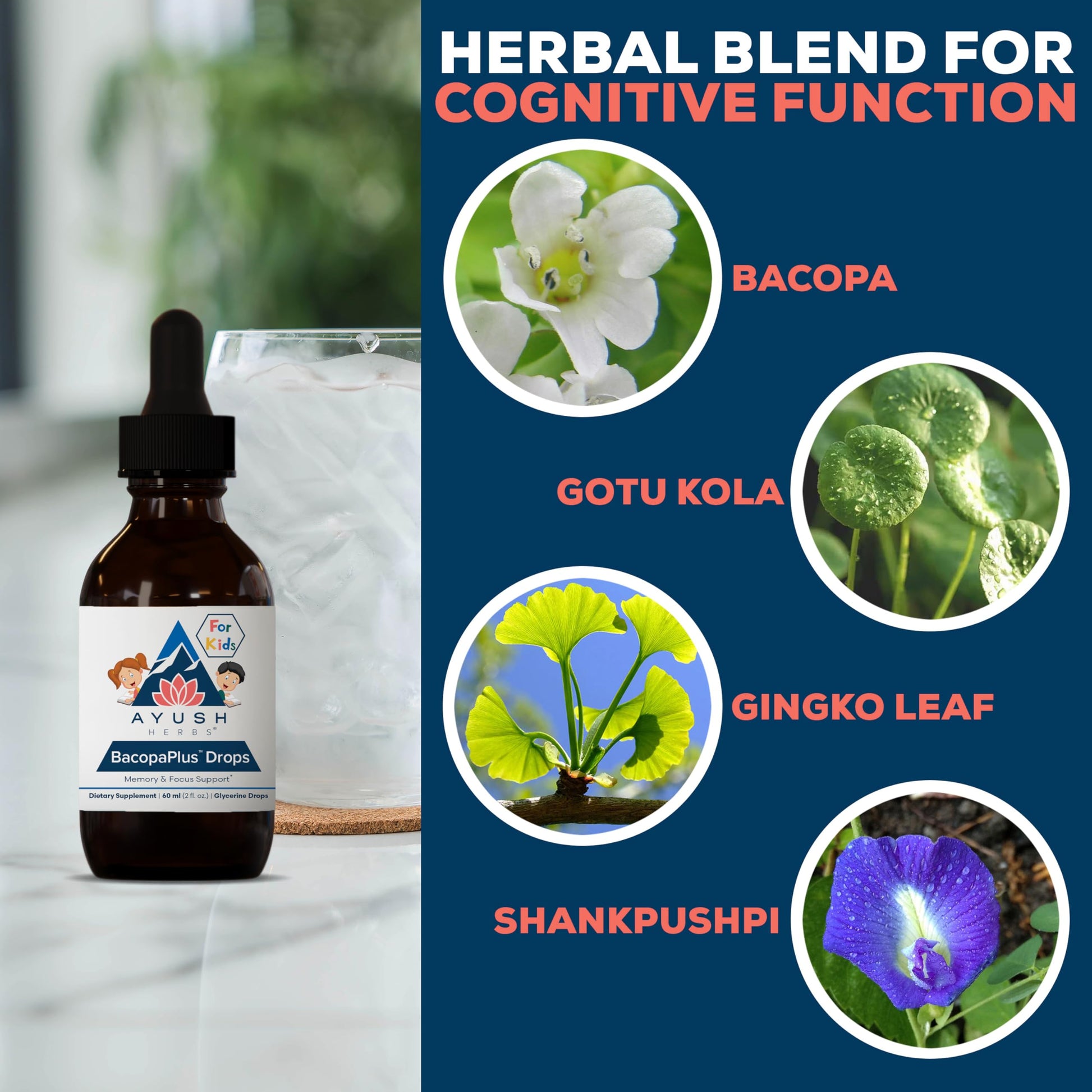 Authentic USA imported Ayush Herbs Bacopa Plus packaging highlighting the alcohol-free premium formulation.