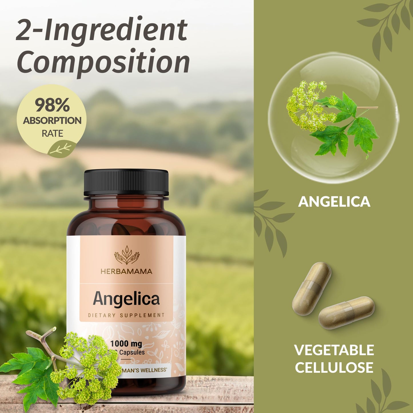 Side label view of HERBAMAMA Angelica root capsules displaying recommended daily serving size.