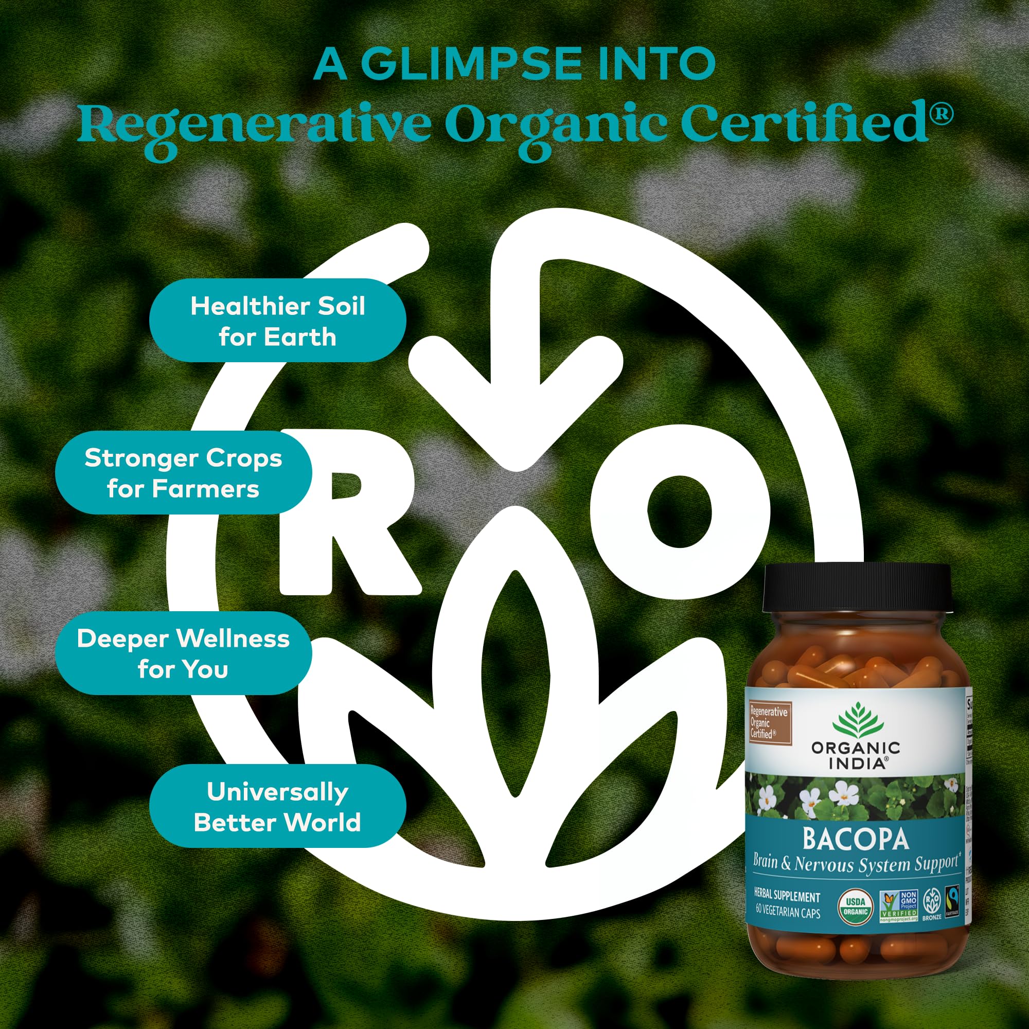 Organic India memory and focus herbal supplement side panel