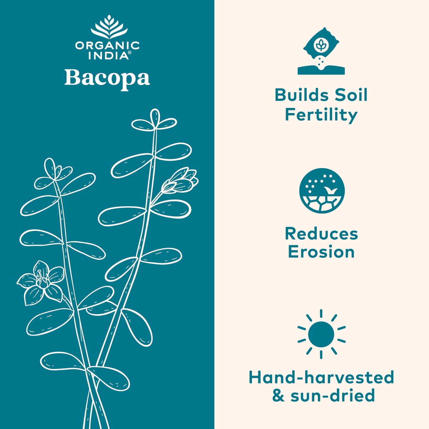 Organic India Bacopa three hundred and fifty milligrams capsule size demonstration