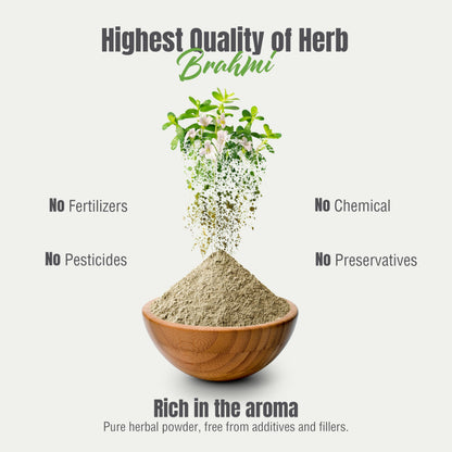 Herbsforever Brahmi powder mixed into a wellness beverage or hair paste