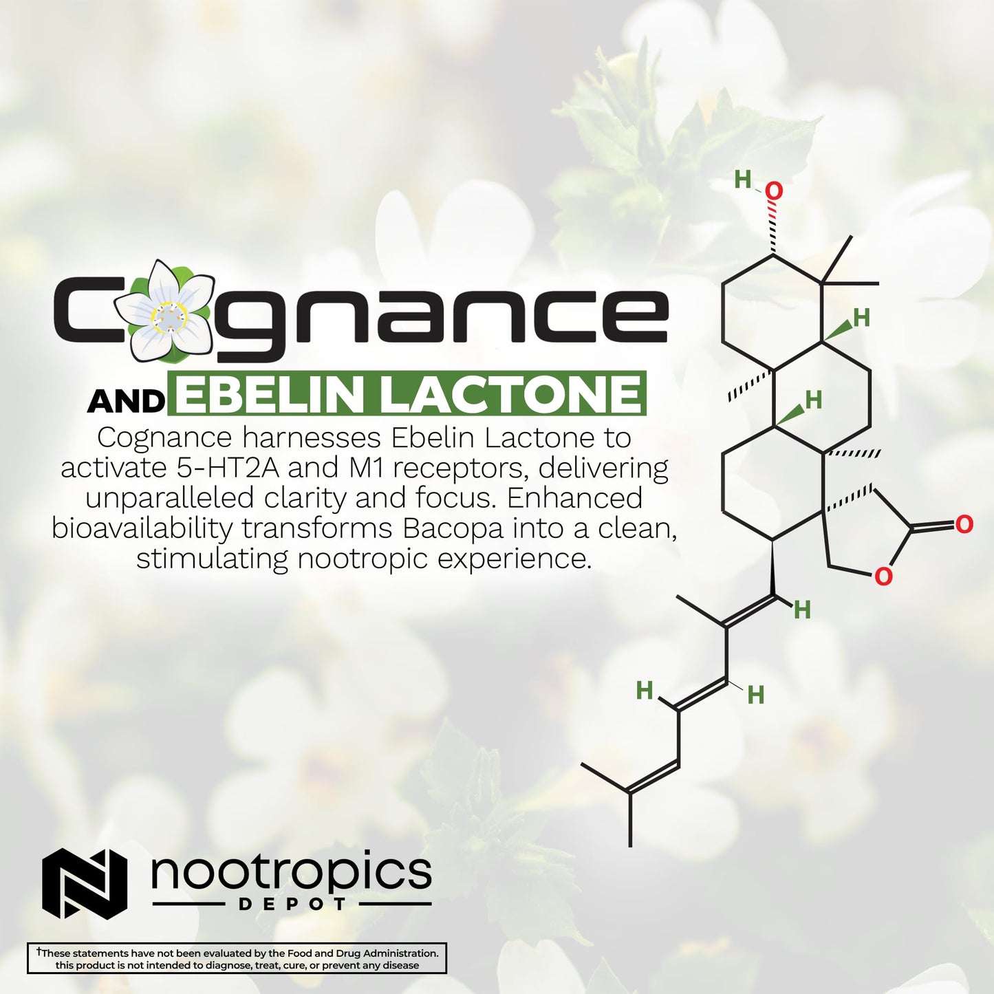 Nootropics Depot Cognance Enhanced Bacopa premium wellness supplement bottle with clear text showing the 100mg dosage