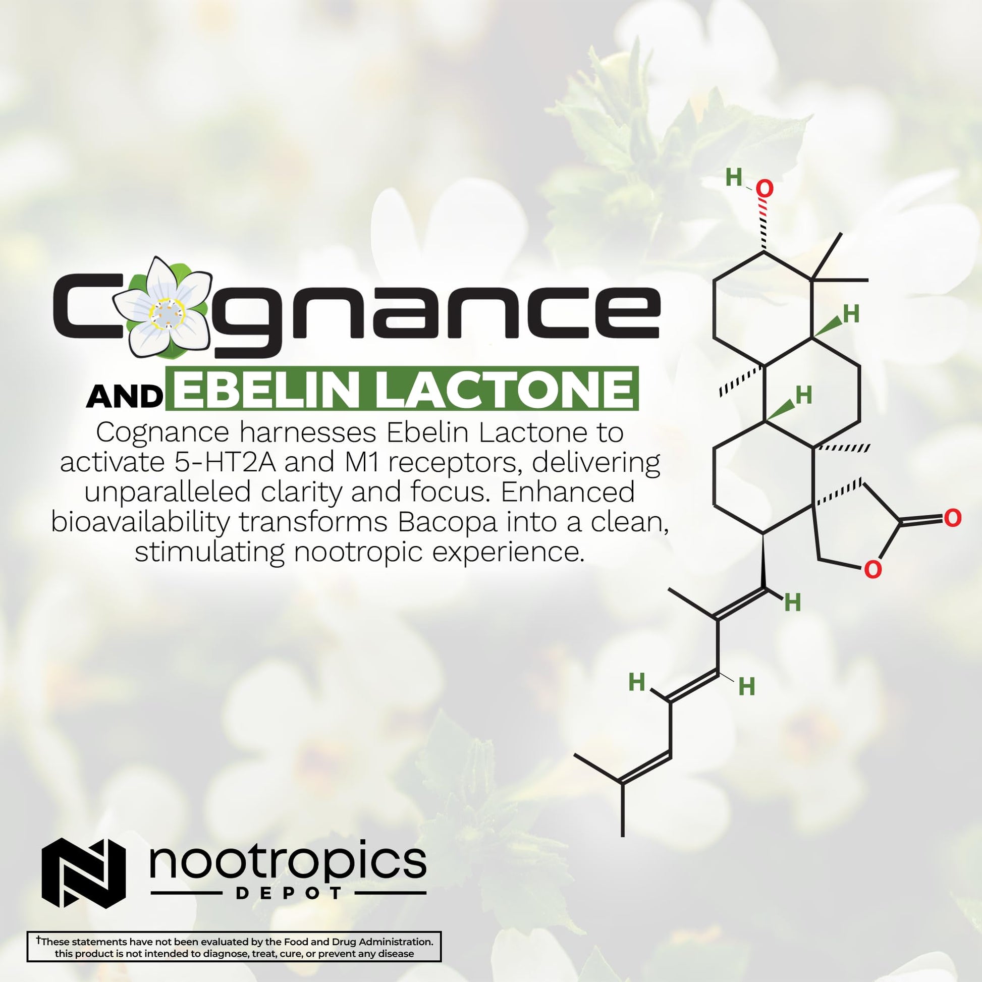 Nootropics Depot Cognance Enhanced Bacopa premium wellness supplement bottle with clear text showing the 100mg dosage