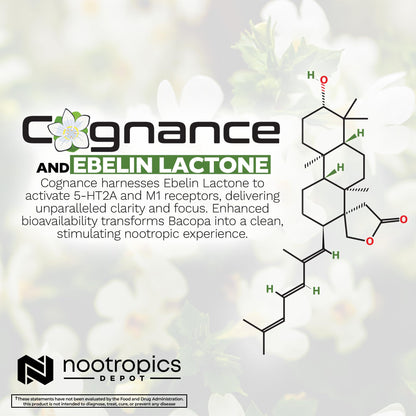 Nootropics Depot Cognance Enhanced Bacopa premium wellness supplement bottle with clear text showing the 100mg dosage