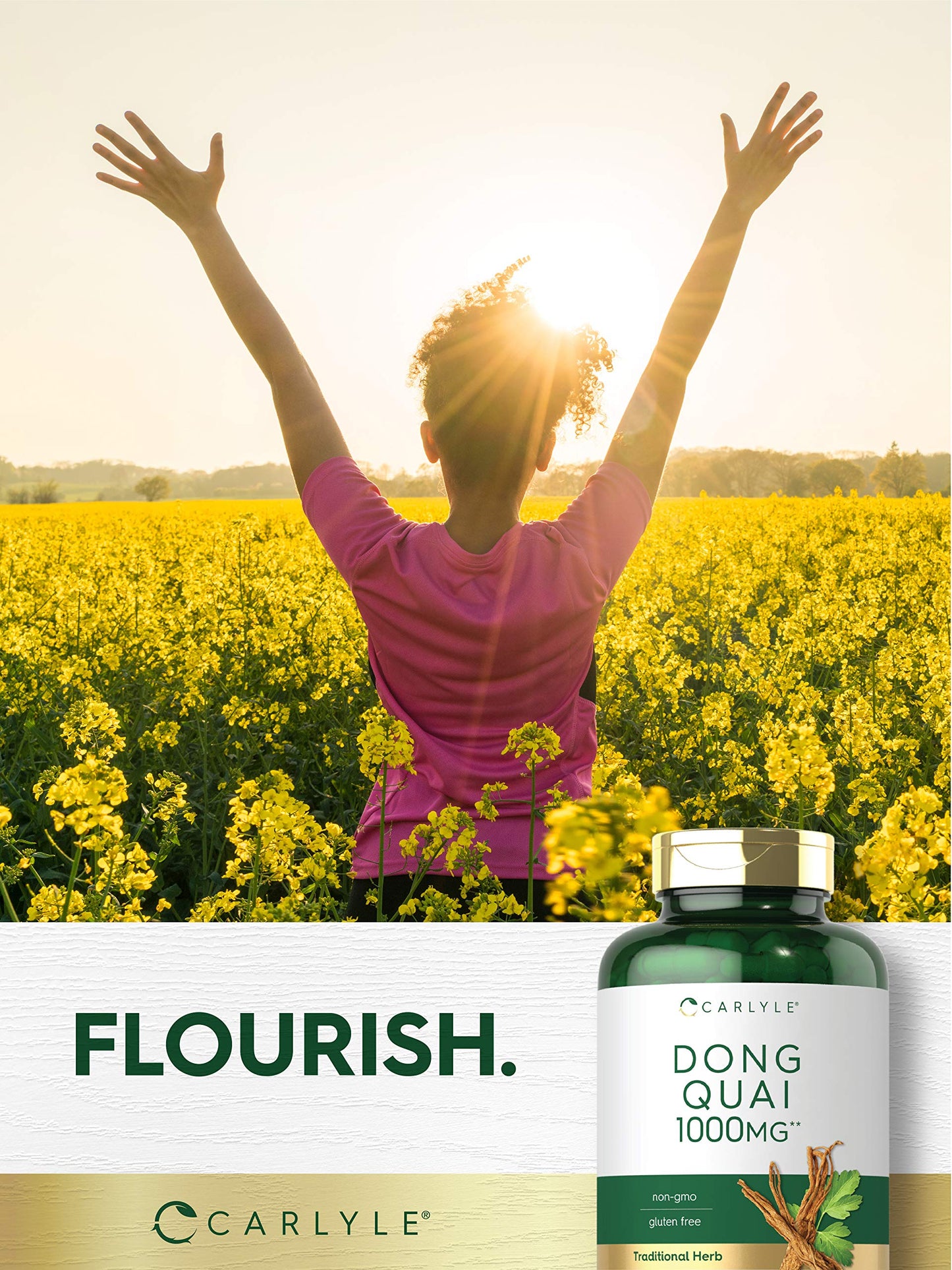 Authentic Carlyle Dong Quai root 250 capsules container showcasing premium dietary supplement quality standards
