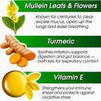 Liquid herbal Mullein Leaf extract dropper application
