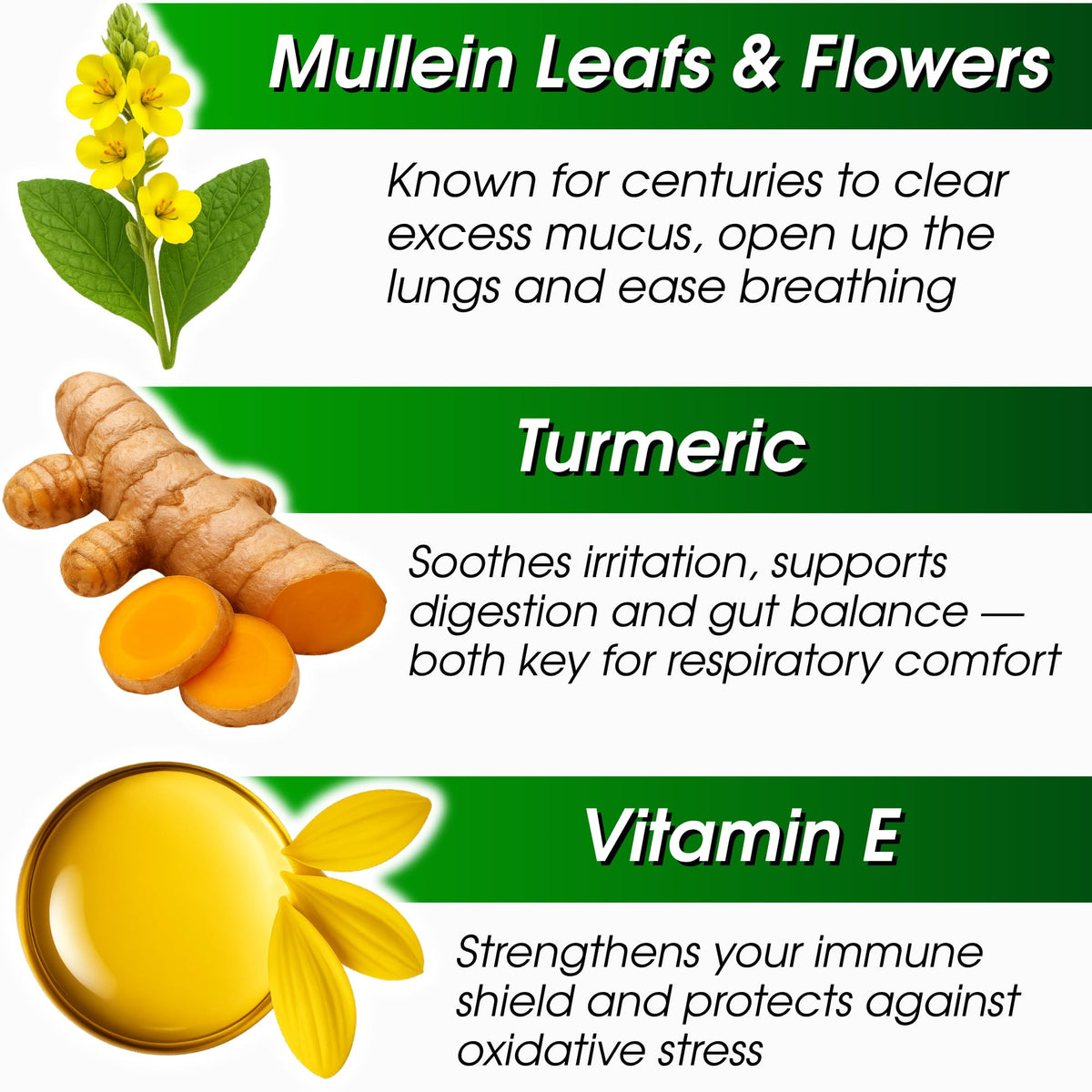 Liquid herbal Mullein Leaf extract dropper application