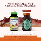 Herbs Etc. Lymphatonic 60 softgels supplement bottle label detail