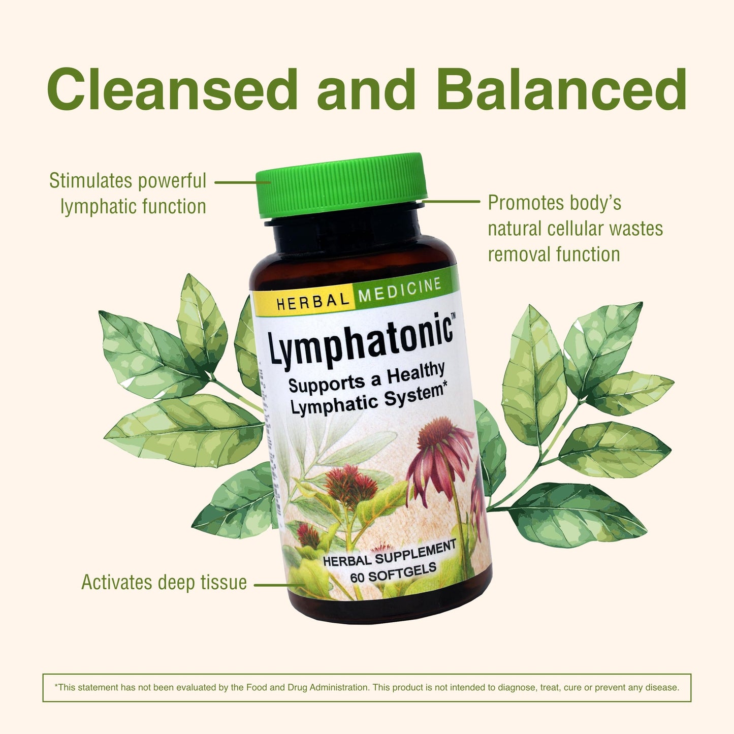 Close up of Herbs Etc. Lymphatonic bottle showing serving size information