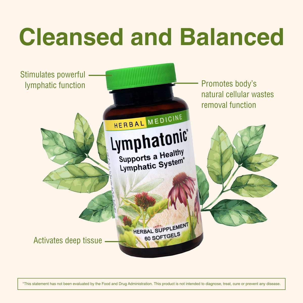 Close up of Herbs Etc. Lymphatonic bottle showing serving size information