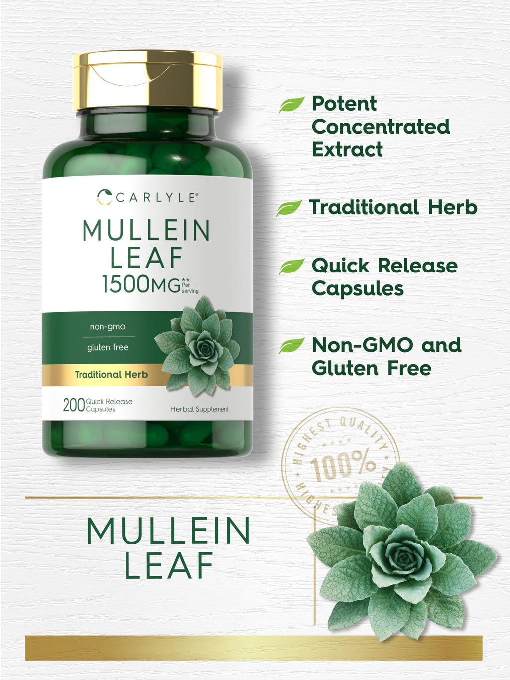 Carlyle Mullein Leaf herbal respiratory support capsules