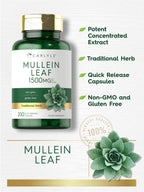 Carlyle Mullein Leaf herbal respiratory support capsules