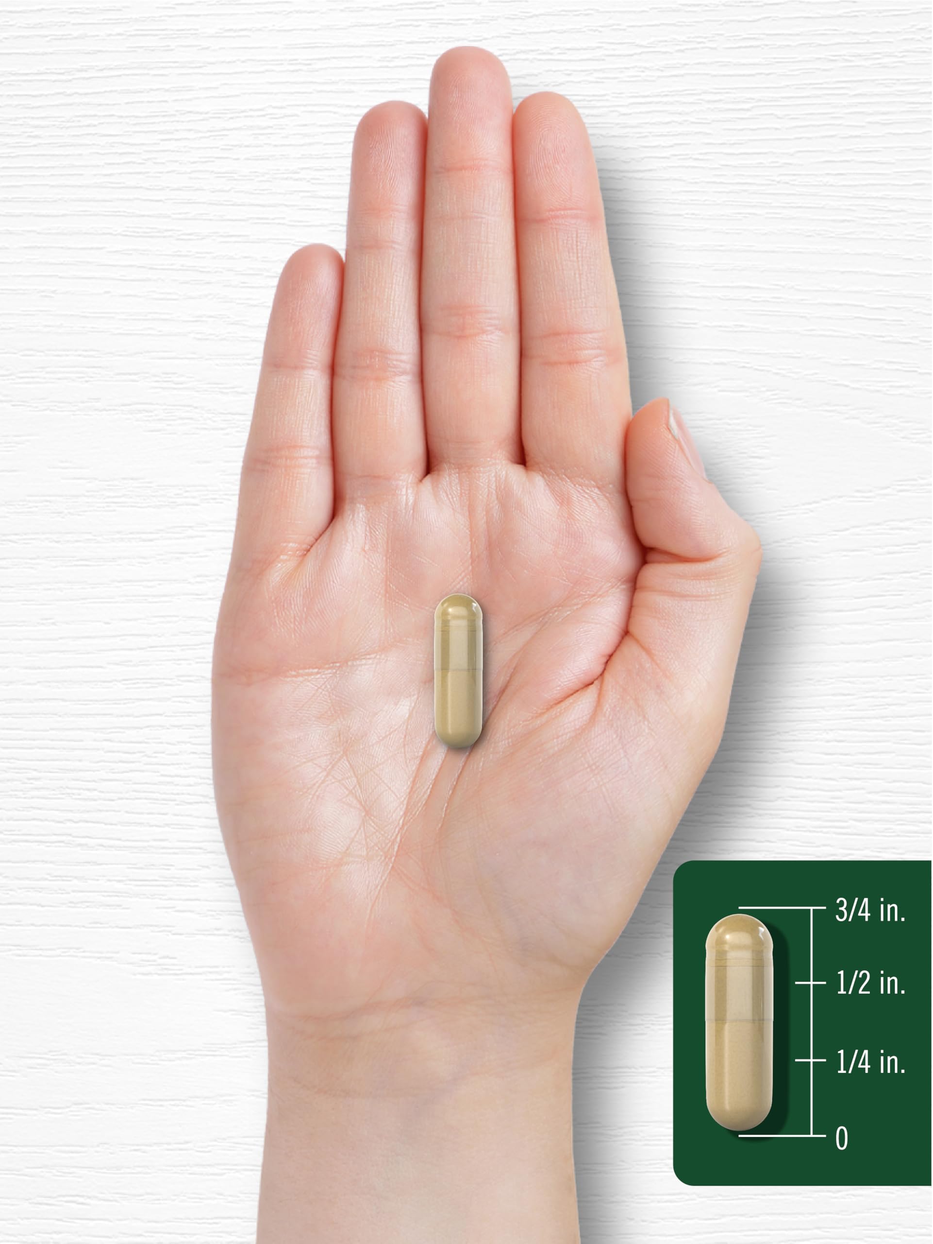 Full packaging view of Carlyle Bacopa Monnieri 180 capsules showing the authentic herb of grace emblem