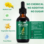 Liquid dropper bottle of Mullein Leaf Extract with Chlorophyll