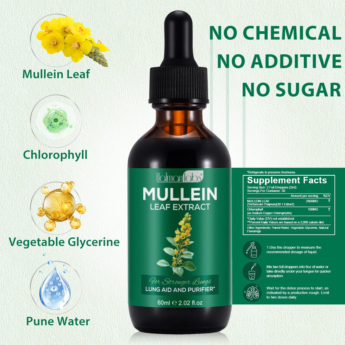 Liquid dropper bottle of Mullein Leaf Extract with Chlorophyll