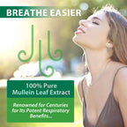 Natural Mullein Leaf Extract with Chlorophyll packaging