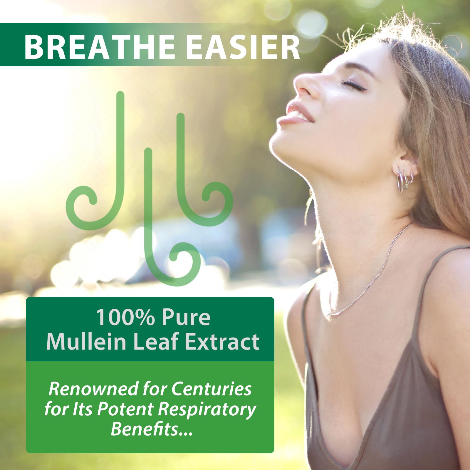 Natural Mullein Leaf Extract with Chlorophyll packaging