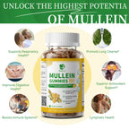 Two pack Lukaree Mullein Gummies supply