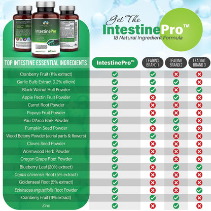 Teraputics IntestinePro 60 vegetarian capsules bottle label