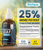 High strength mullein drops 4 fluid ounce bottle