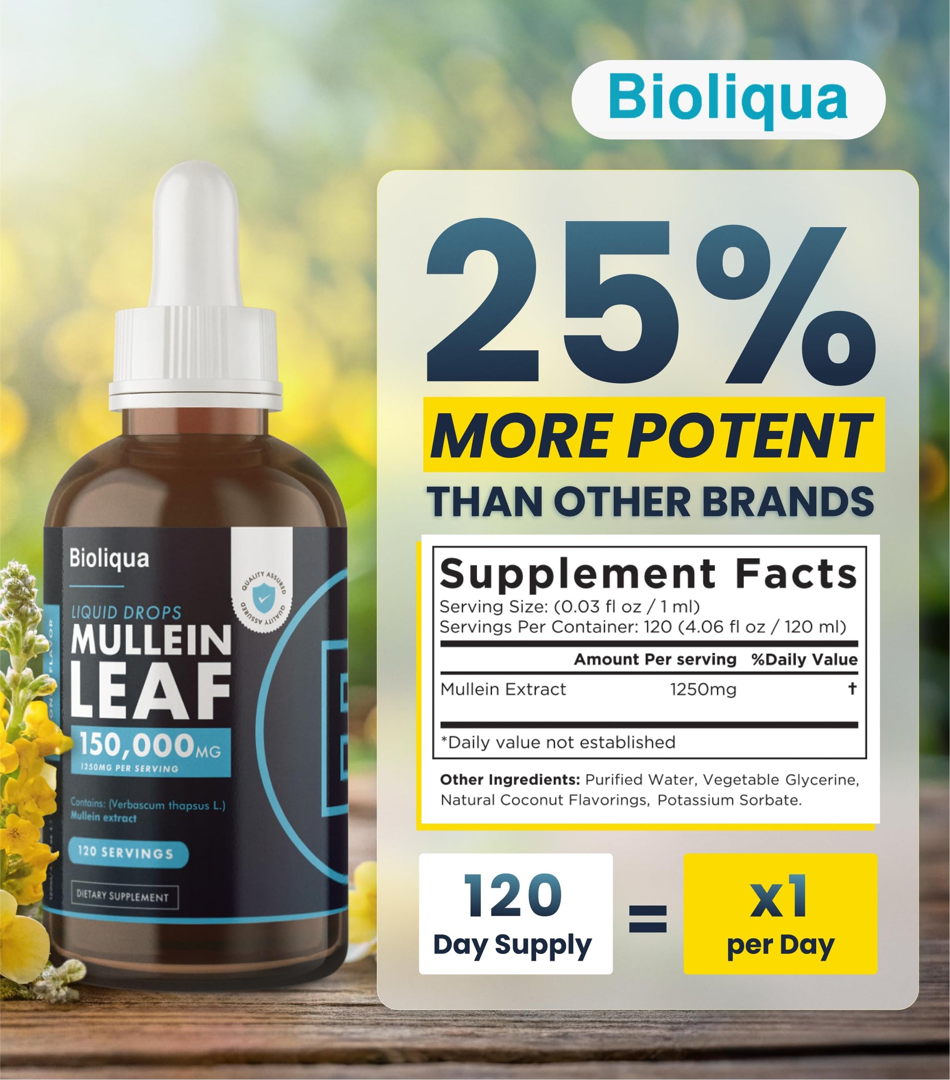 High strength mullein drops 4 fluid ounce bottle