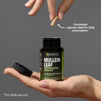 Vegan Havasu Nutrition Mullein Leaf supplement packaging