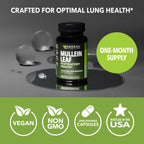 Havasu Nutrition Mullein Leaf supplement for daily wellness