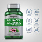 Back of Piping Rock Echinacea Goldenseal bottle showing ingredients