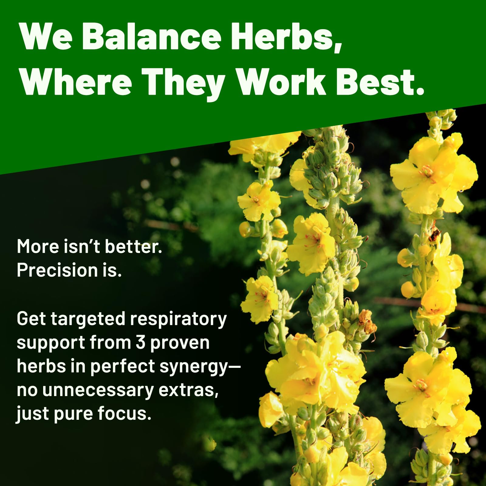 Close up of Vivcmin Mullein Lung Detox supplement label details