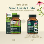 Authentic Gaia Herbs respiratory health supplement bottle isolated on white