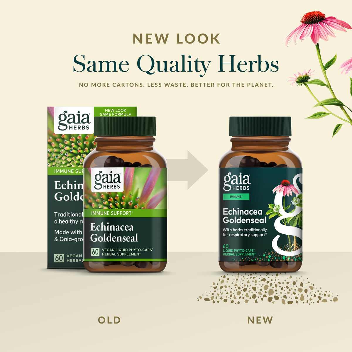 Authentic Gaia Herbs respiratory health supplement bottle isolated on white